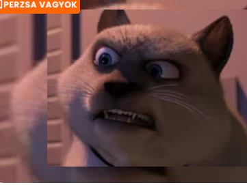 cirmos csomcsi, 2022