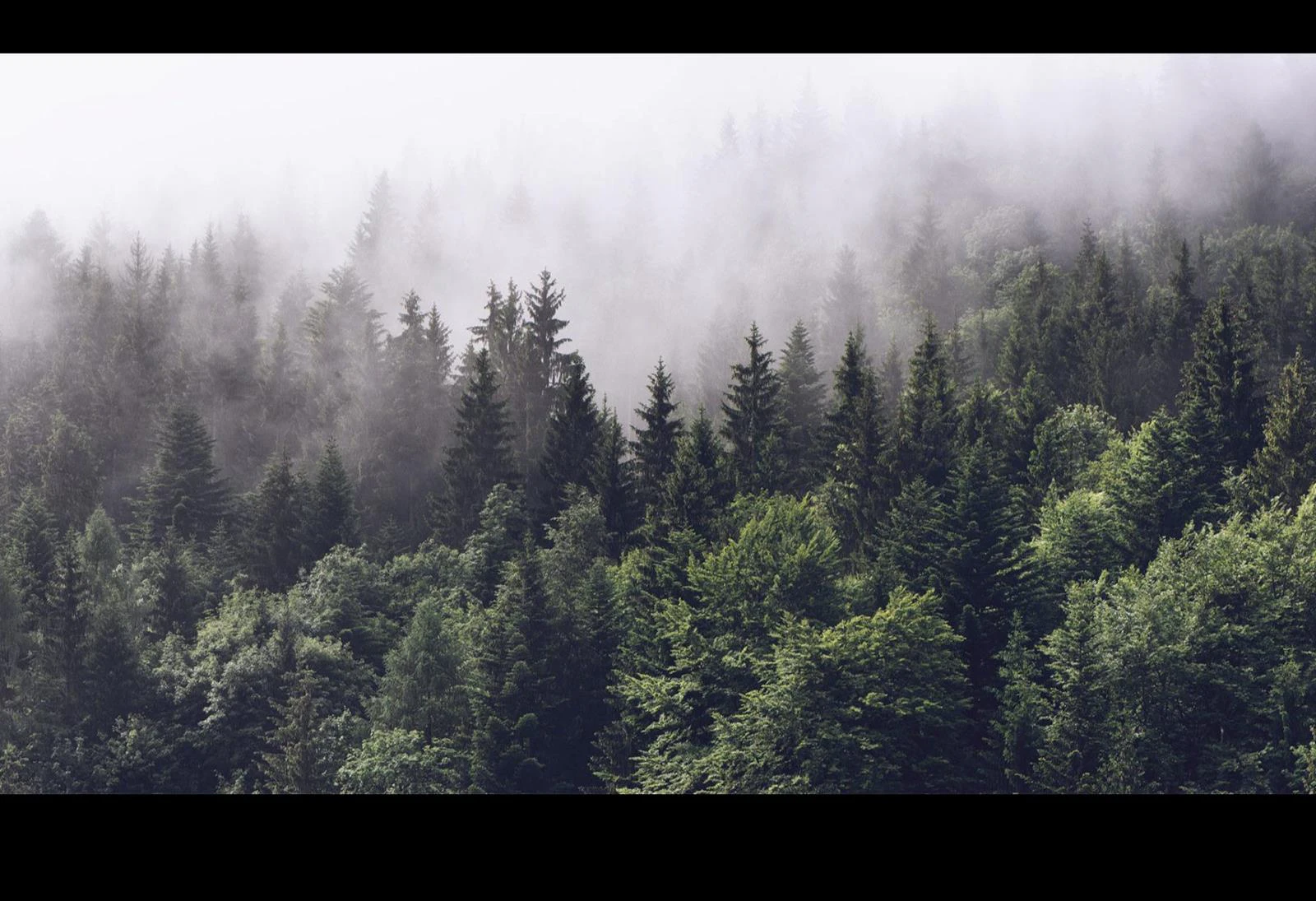 Tesztelők Díjnyertes Csomagja