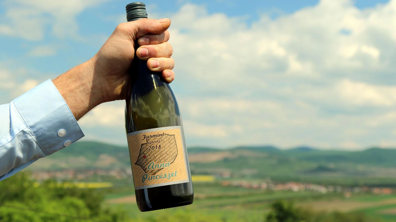 Tesztcsomag 1.1 regressön 9-hez